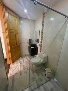 PensilvaniaにあるATHOS hotel boutique B&Bのトイレとガラスのシャワー付きのバスルーム