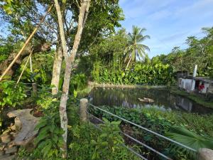 Zahrada ubytování Lolo Eyong's Farm Retreat and Resort + 5 fotografií