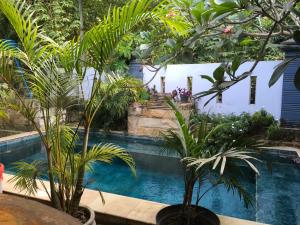 Бассейн в Jessies beach house или поблизости