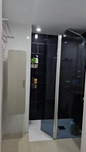 eine Dusche im Bad mit schwarzen Fliesen in der Unterkunft Appartement moderne à Nice, 50 m² avec balcon in Nizza + 17 Fotos