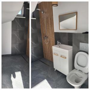 Gallery image of Vila Alex in Craiova +8 photos
