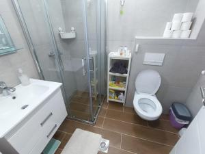 a bathroom with a shower and a toilet and a sink at Apartmani Krunet in Kruševac +42 photos