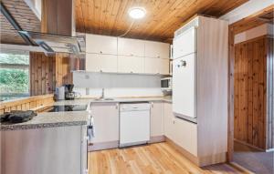Η κουζίνα ή μικρή κουζίνα στο 3 Bedroom Stunning Home In Skjern