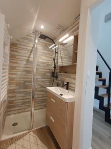 a bathroom with a shower and a sink at Un Appart' à la campagne in Mordelles