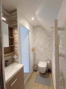 a bathroom with a white toilet and a shower at Un Appart' à la campagne in Mordelles +17 photos