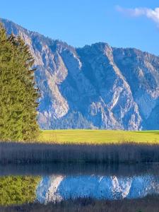 Naturlandschaft in der Nähe der Ferienwohnung