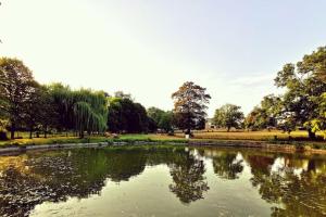 a pond in a park with trees in the background at Domaine de l'îsle Manière 10 pers in Pontaubault