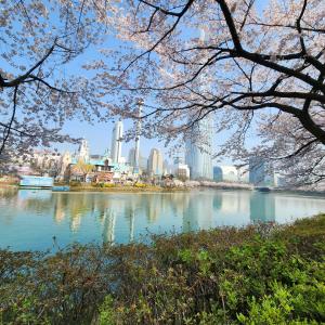 a view of a river with a city in the background at Dream Attic Seoul in Seoul