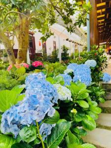 Κήπος έξω από το Vườn Trà HomeStay Măng Đen
