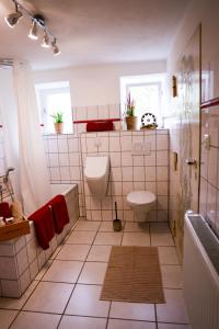 a bathroom with a toilet and a sink at Landhaus - schöne Loh in Weihenzell
