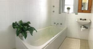 biała łazienka z wanną i umywalką w obiekcie Katoomba Mountain Lodge w mieście Katoomba
