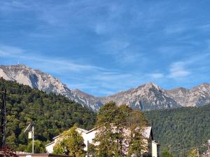 a view of a mountain range with trees and a house at Casa Antonia in Azuga