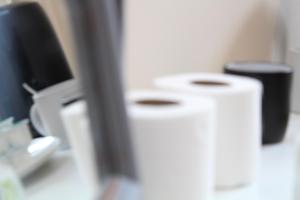 a bathroom with two rolls of toilet paper and a monitor at Darwin road guest house 3 in Southampton