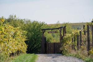 Fotografia z galérie ubytovania Feelmore Tiny House Eger v destinácii Eger
