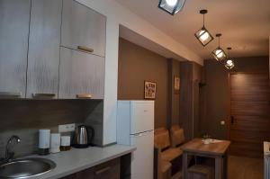 a kitchen with a sink and a refrigerator and a table at Area Park Bakuriani, Apartment 5 in Bakuriani