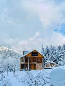 Fotografie z fotogalerie ubytování Wonder Inn v destinaci Beselashvilebi