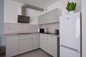 Kuchyňa alebo kuchynka v ubytovaní Golden Apartments/Op32 + 2 fotografie