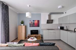 Kuchyňa alebo kuchynka v ubytovaní Golden Apartments/Op32