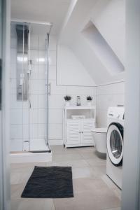 Un baño con inodoro y lavadora. en Zum "Spessarträuber", en Rothenbuch