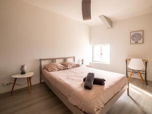Postel nebo postele na pokoji v ubytování Appartement Chaleureux avec 2 grandes chambres