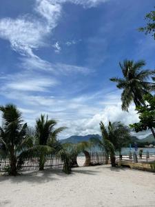 a group of palm trees on a beach with a fence at Subic Grand Seas Resort in Olongapo
