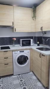 una cocina con lavadora y fregadero en Apartamento Viñedos de Librado, en Jerez de la Frontera 23 fotos más