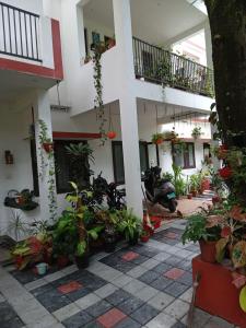 a courtyard with plants and motorcycles in a building at Gerards Home stay Fortkochi in Cochin