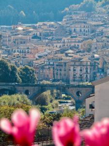 Φυσικό τοπίο κοντά σε αυτό το διαμέρισμα