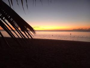 un tramonto sulla spiaggia con uccelli in acqua di Welcome Aboard Villa a Flic-en-Flac