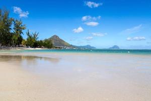 una spiaggia con alberi e l'oceano e le montagne di Welcome Aboard Villa a Flic-en-Flac