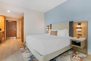 Postel nebo postele na pokoji v ubytování Cambria Hotel Austin Downtown