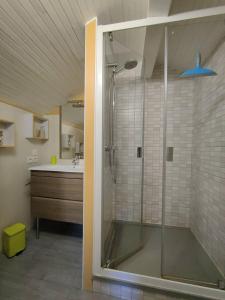 un bagno con doccia in vetro e lavandino di St Jean de Luz, APPT Dupplex2 pers à 100 mètre de la plage a Sainte-Barbe