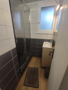 a bathroom with a shower and a sink and a window at appartement dans maison de village in Pinet +1 photo