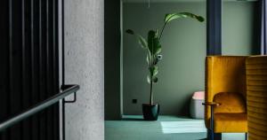 a plant in a vase in a room with a chair at Episode Tbilisi in Tbilisi City