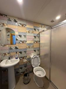 a bathroom with a toilet and a sink and a shower at WOODEN House ÜSKÜDAR in Istanbul