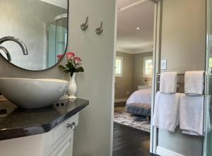 un bagno con lavandino e specchio di Patcham Place & Lilliput House, Clarens a Clarens