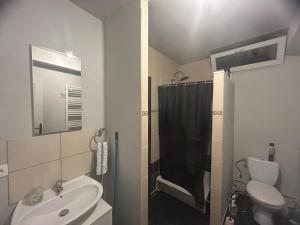 a bathroom with a sink and a toilet and a shower at Chambre première étage in Lille