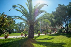 Foto dalla galleria di Helena Inn a Svoronáta