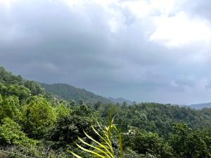 Ảnh trong thư viện ảnh của True Blue, Deluxe room in The Umri Lansdowne ở Lansdowne +2 ảnh