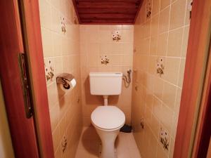 Kúpeľňa v ubytovaní Apartment Bischofsmütze by Interhome