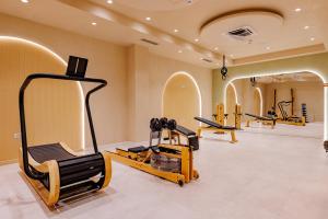 Fitness centrum a/nebo fitness zařízení v ubytování Hotel HOGO