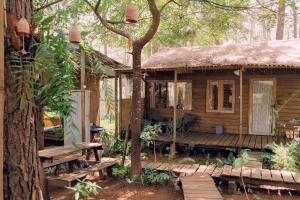 a wooden cabin in the woods with a tree at La Maison Homestay Măng Đen in Kon Tum