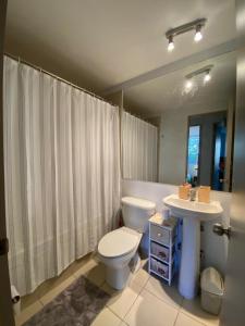 a bathroom with a white toilet and a sink at Acogedor y tranquilo departamento Mirasol in Algarrobo +15 photos