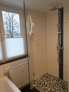 Ένα μπάνιο στο Ferienwohnung 1 am Hambach