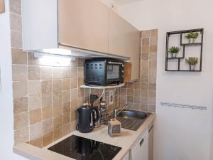 Kuchyň nebo kuchyňský kout v ubytování Studio La Comtesse-11 by Interhome