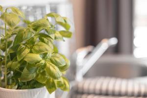 Posteľ alebo postele v izbe v ubytovaní Alpen-Appartements Zürcher