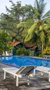 two white benches sitting next to a swimming pool at Goyambokka Beach Retreat in Tangalle