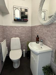 a bathroom with a toilet and a sink and a mirror at Emil Hemma in Järnforsen