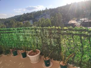公寓周边自然景观