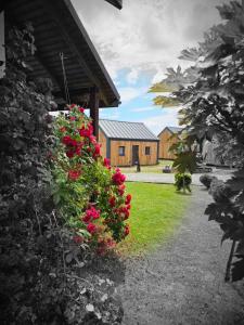 a bush of red roses in front of a house at Stodoły w Bieszczadzie domy SPA z basenem i widokiem na góry in Polańczyk